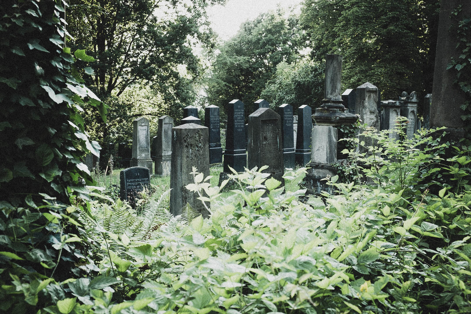 Jüdischer Friedhof Kassel-Bettenhausen